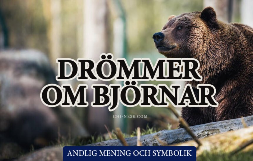 drömma om björn