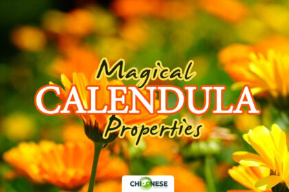 magical properties of calendula