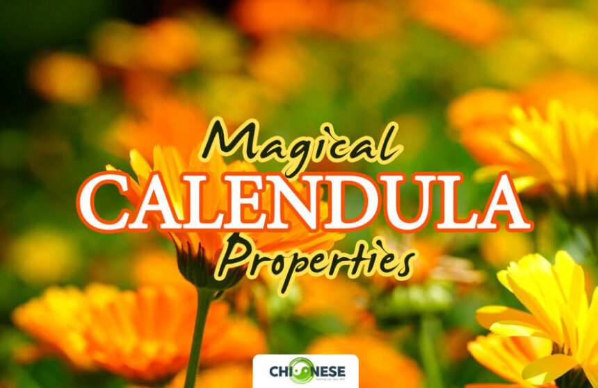 magical properties of calendula
