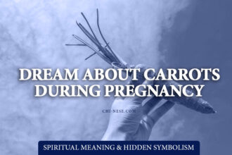 seeing carrots in dream during pregnancy