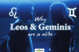 why are leos and geminis so alike