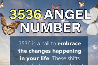 3536 angel number