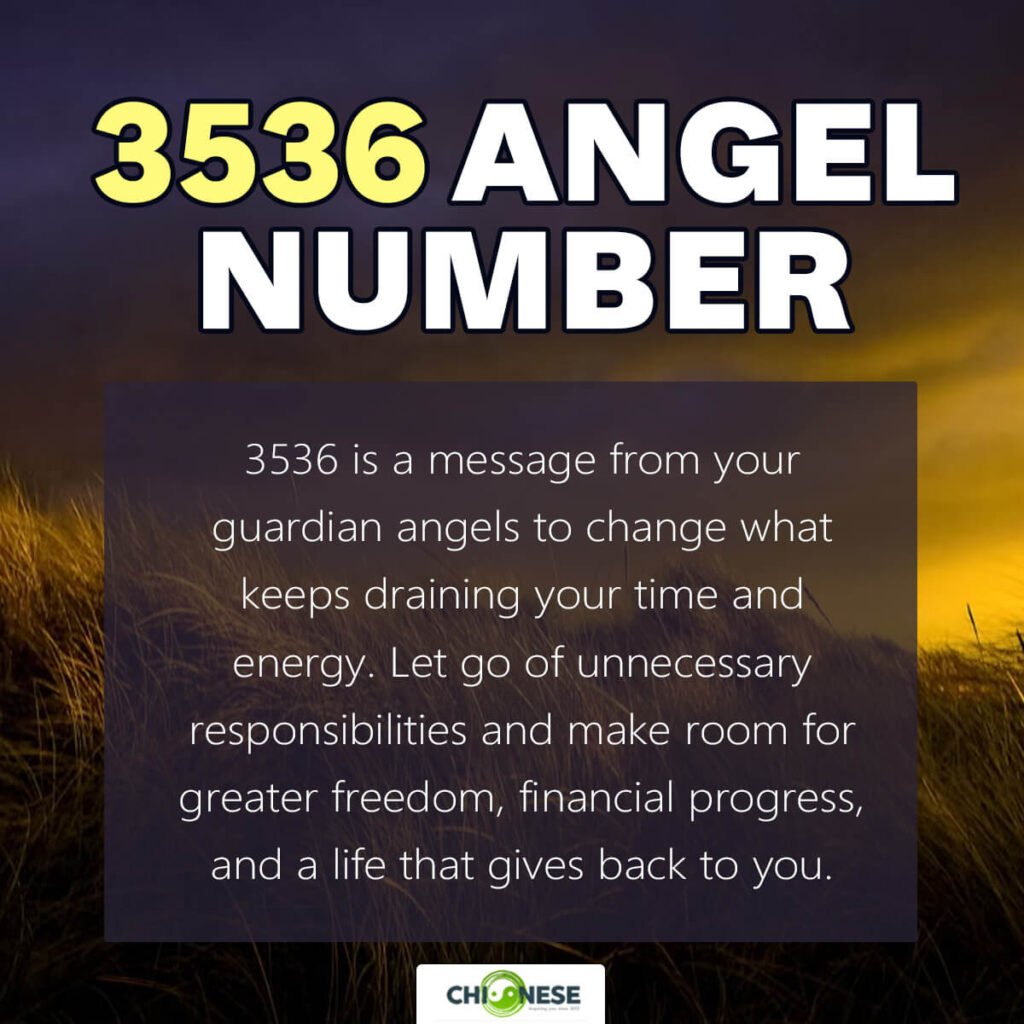 3536 angel number