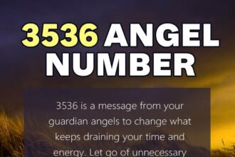 3536 angel number