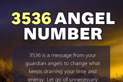 3536 angel number