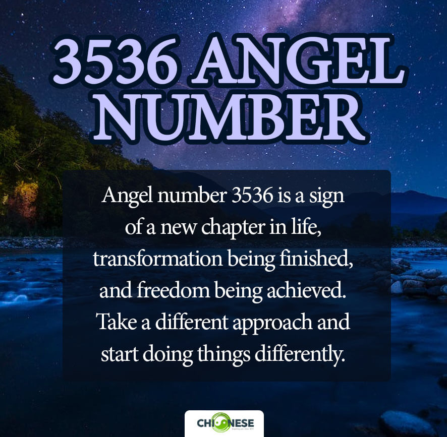 3536 angel number
