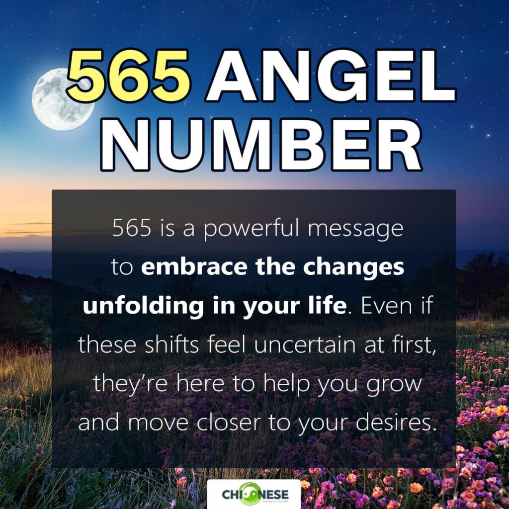 565 angel number
