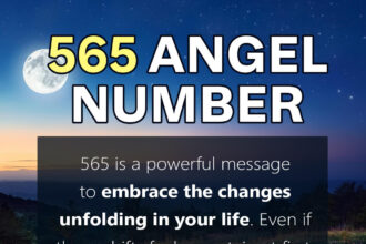 565 angel number