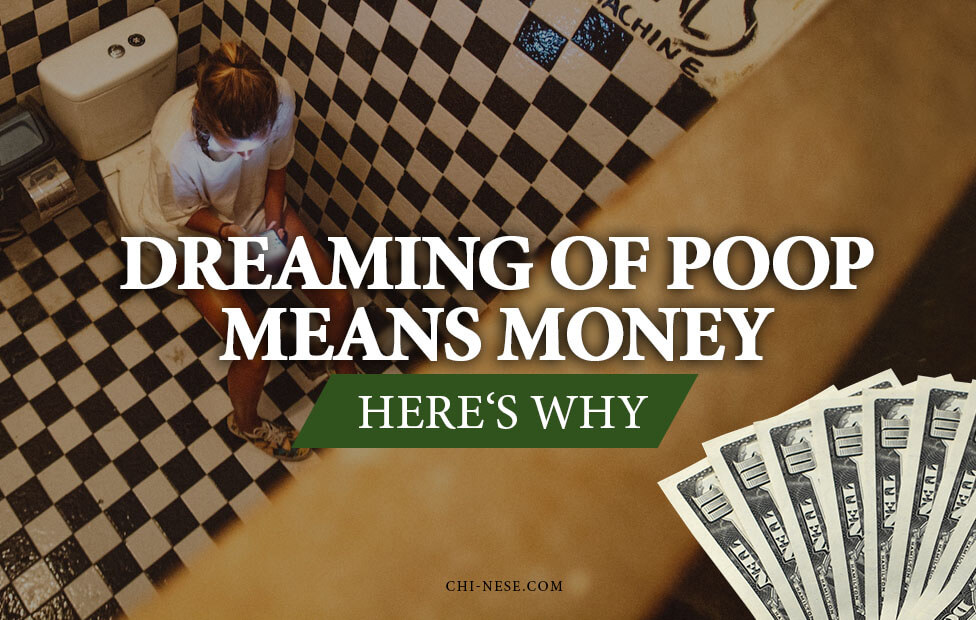 dreaming of poop means money