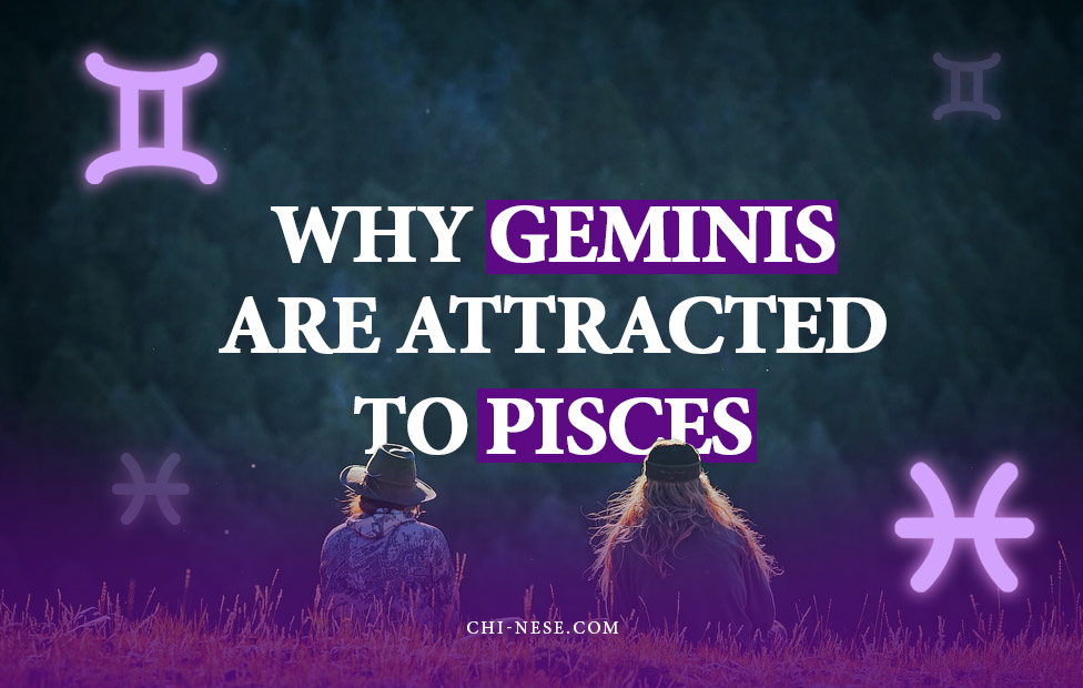 why are geminis so attracted to pisces