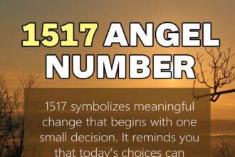 1517 angel number