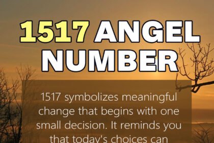 1517 angel number