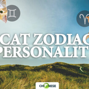 cat zodiac personality