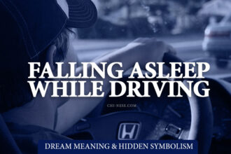 dream about falling asleep while driving