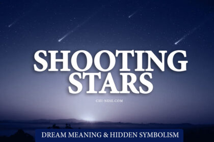 dream about shooting stars