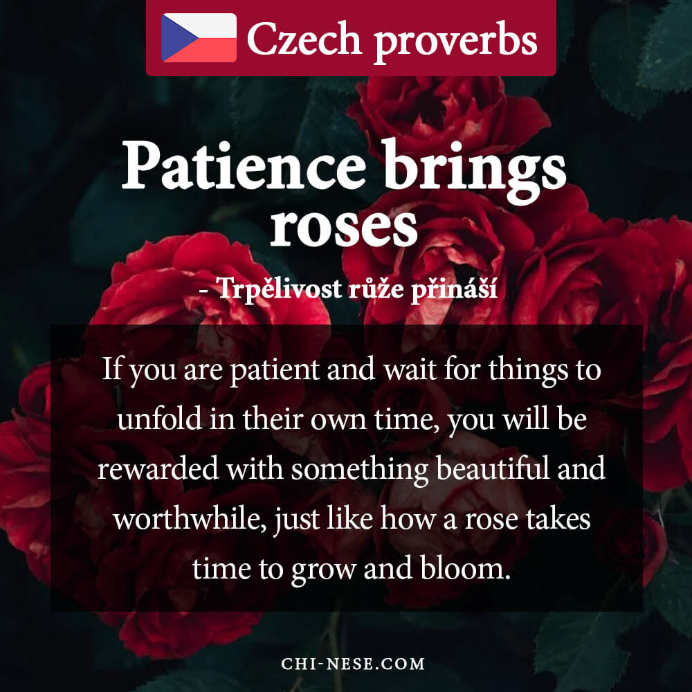 patience brings roses