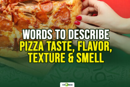 words to describe pizza