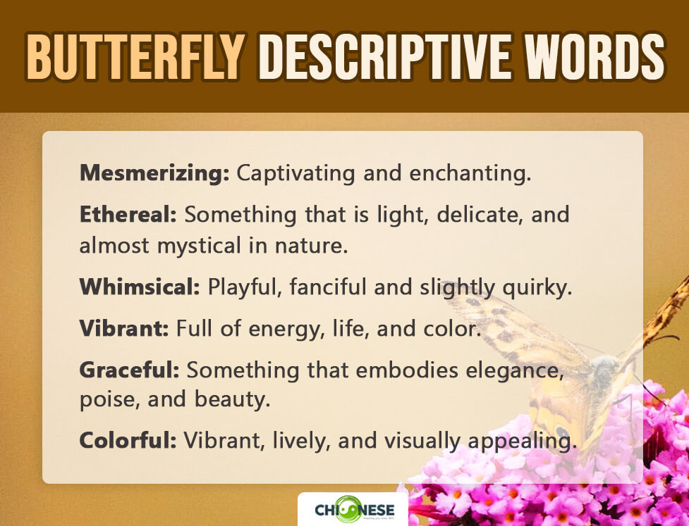 butterfly descriptive words