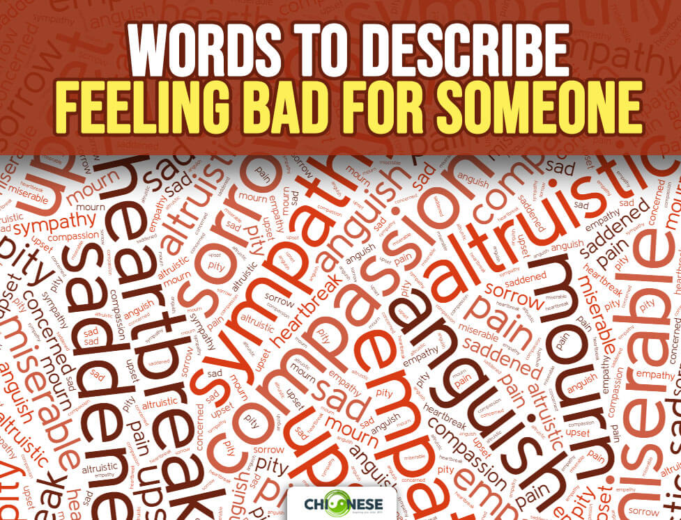words to describe feeling bad for someone