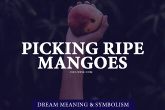 Dream About Picking Ripe Mangoes From A Tree