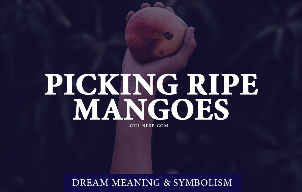 Dream About Picking Ripe Mangoes From A Tree