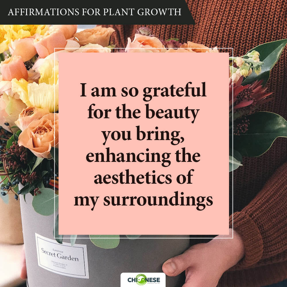 affirmations for plant growth