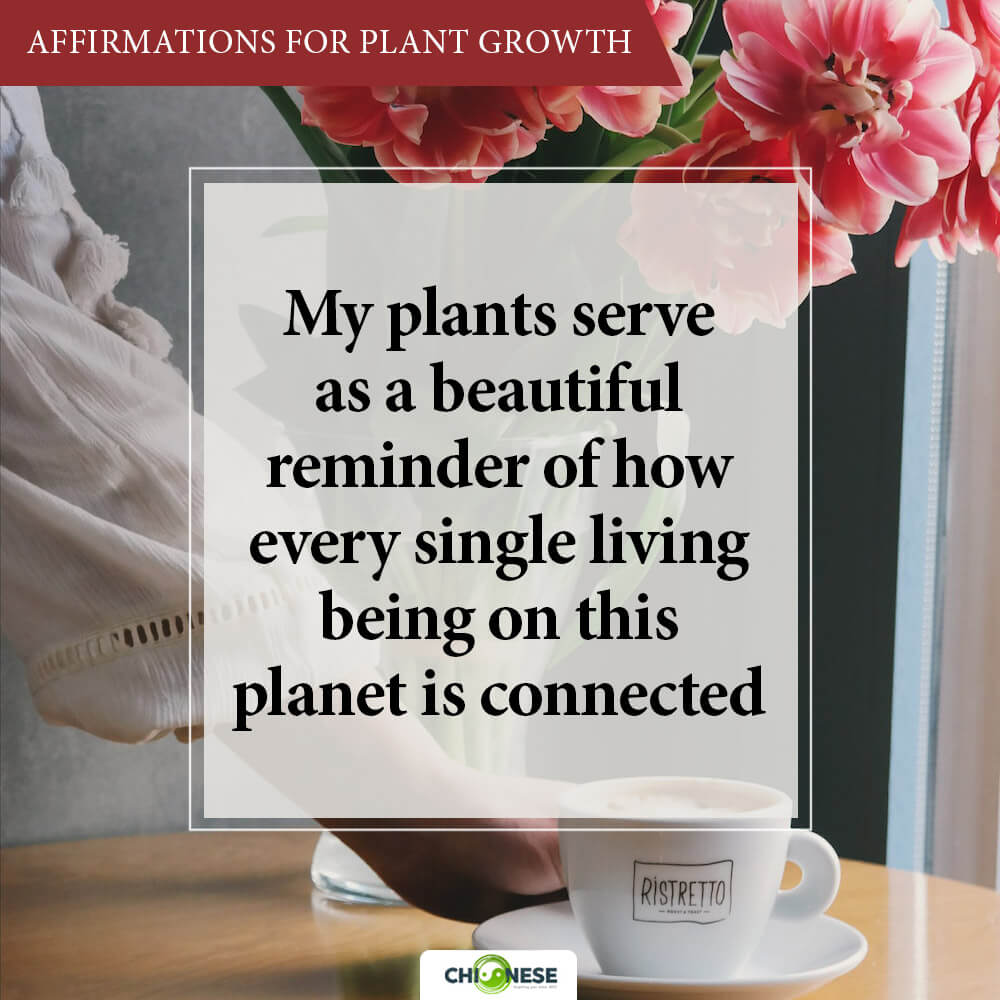 affirmations for plants