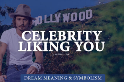 dream about celebrity liking you