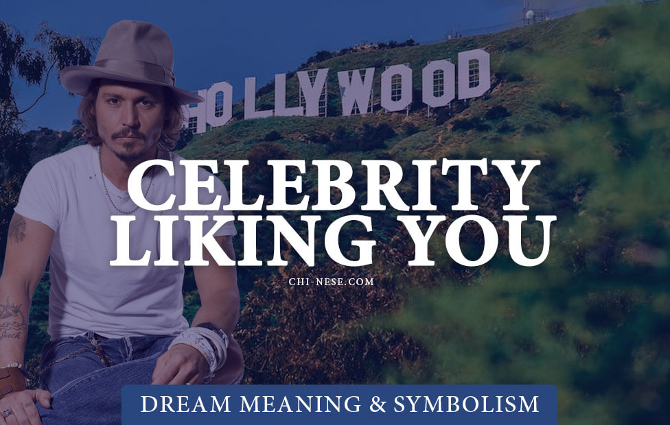 dream about celebrity liking you
