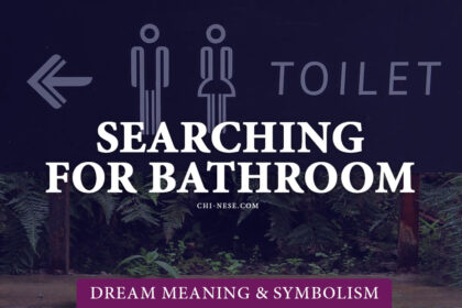 dream about searching for a bathroom