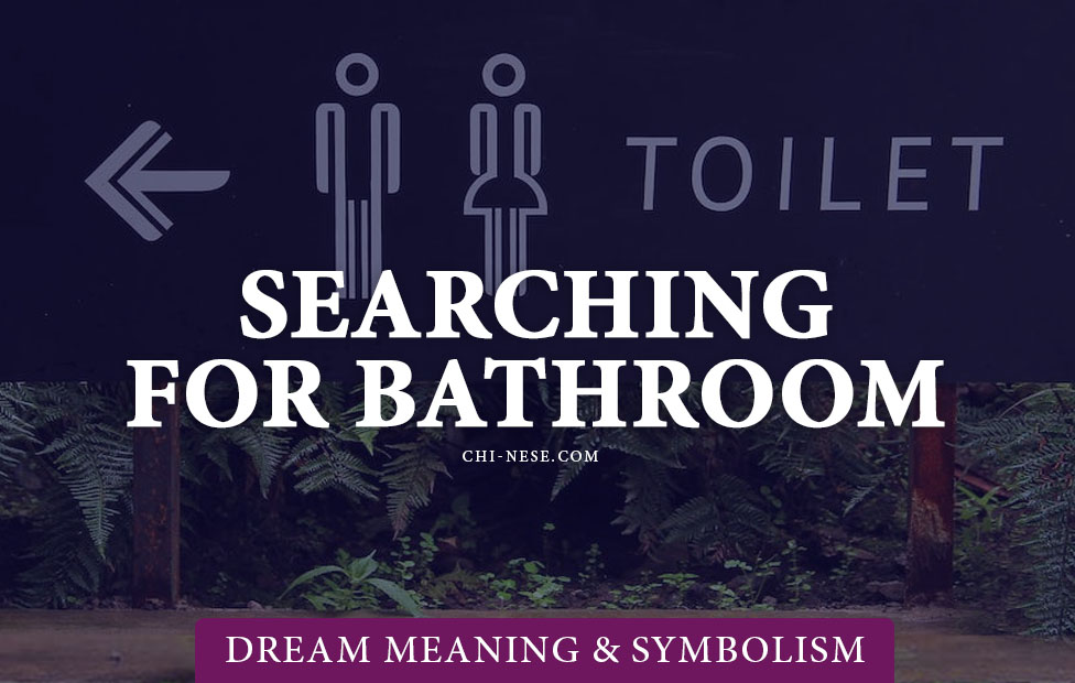 dream about searching for a bathroom
