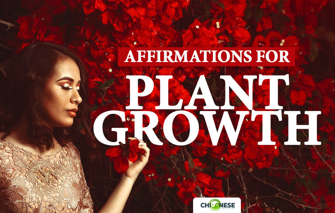 positive affirmations for plant growth
