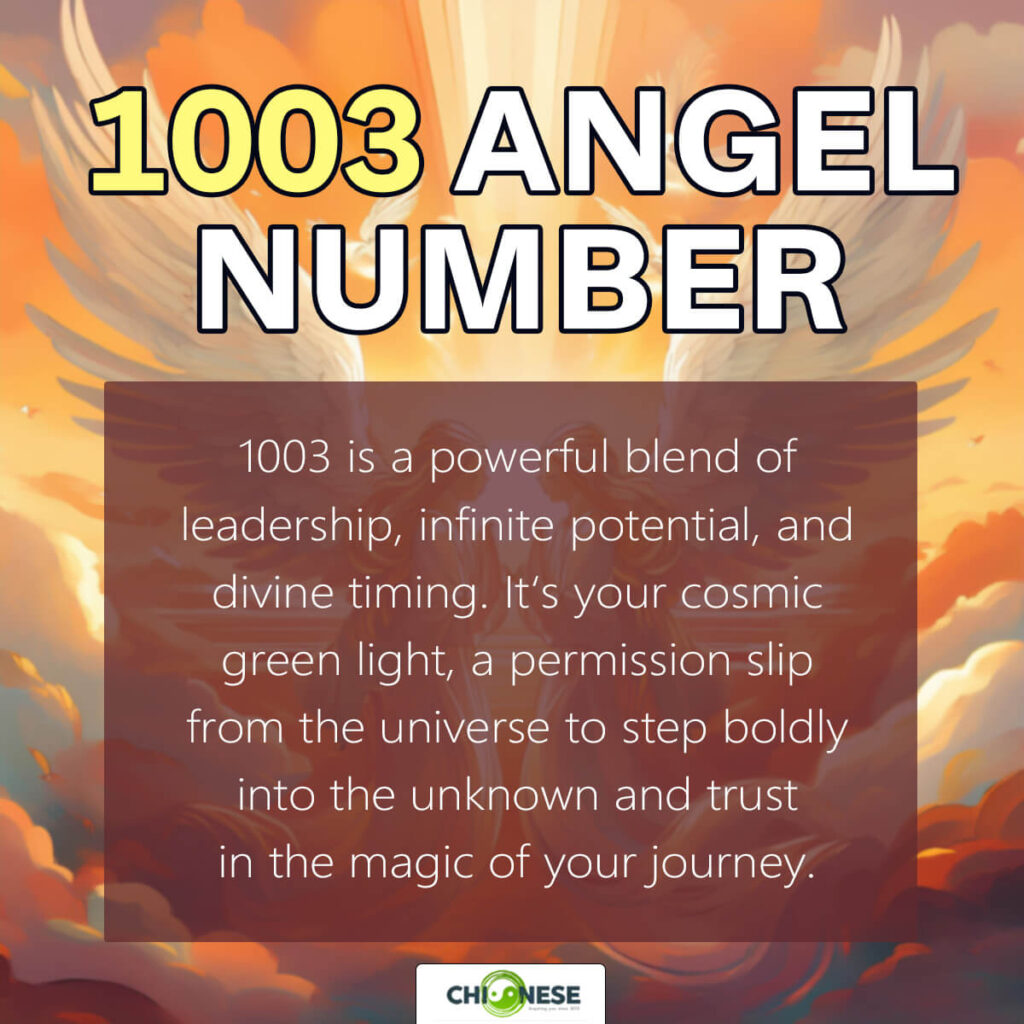 1003 angel number