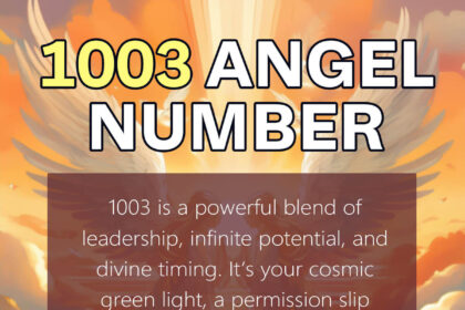 1003 angel number