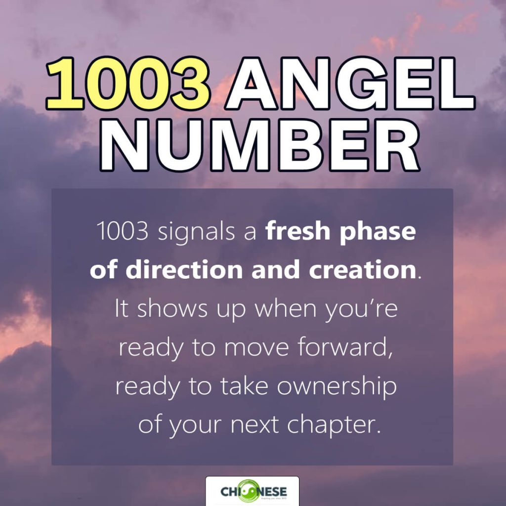 1003 angel number