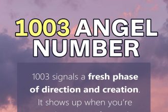 1003 angel number