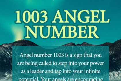 1003 angel number