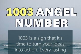 1003 angel number