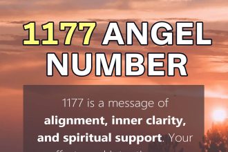 1177 angel number