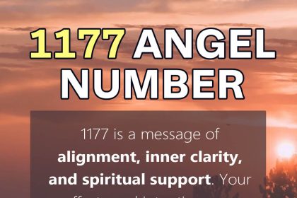 1177 angel number