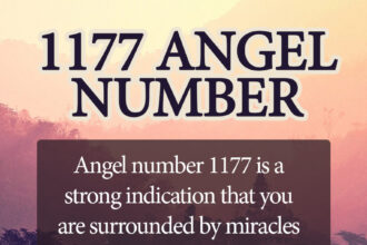 1177 angel number