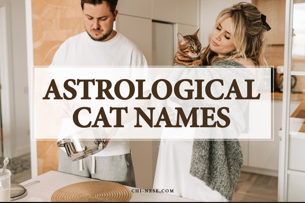 astrological cat names