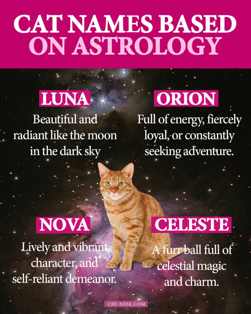 cat names based on astrology