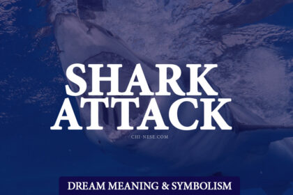 dream about shark attack