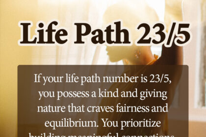 life path number 23