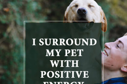 positive affirmations for pet health