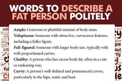 words to describe a fat person politely without sounding rude