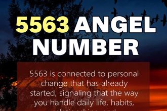5563 angel number