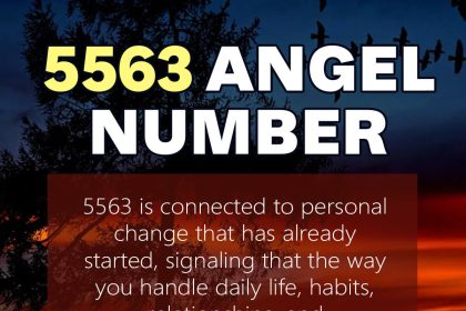 5563 angel number