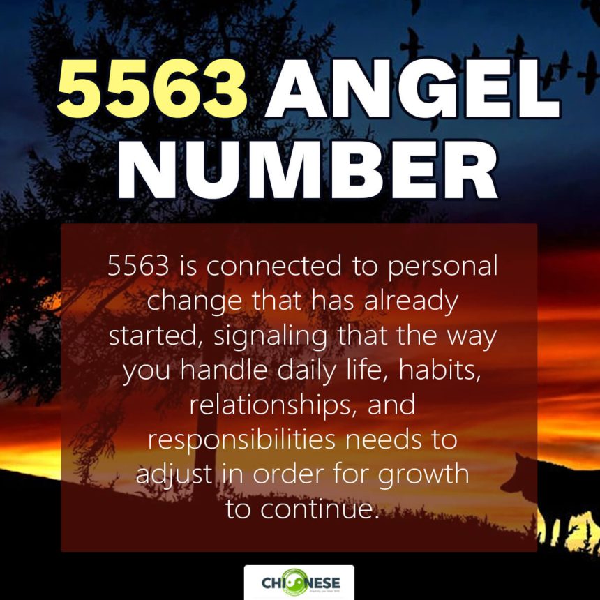 5563 angel number